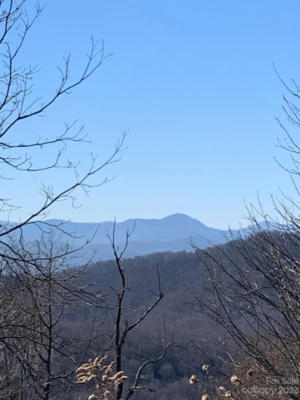 9999 EBBY RIDGE DRIVE # 336, FAIRVIEW, NC 28730, photo 2 of 8