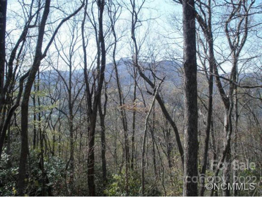 0 ANGLERS RIDGE ROAD # B1, B2,B3,B4, MAGGIE VALLEY, NC 28751, photo 4 of 24