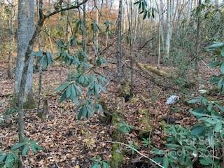 TRACTS OFF PLEASANT GROVE PLEASANT GROVE ROAD # TOTAL: 10.01 ACRES, HENDERSONVILLE, NC 28739, photo 1 of 21