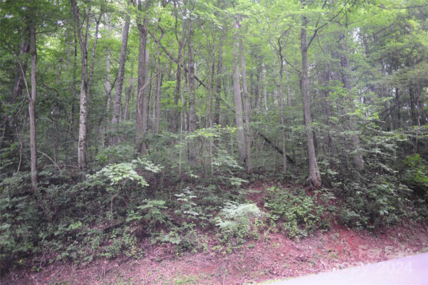 132 IRONWOOD LN # C17, BLACK MOUNTAIN, NC 28711 - Image 1