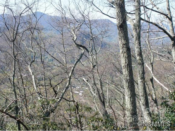 0 ANGLERS RIDGE ROAD # B1, B2,B3,B4, MAGGIE VALLEY, NC 28751, photo 1 of 24