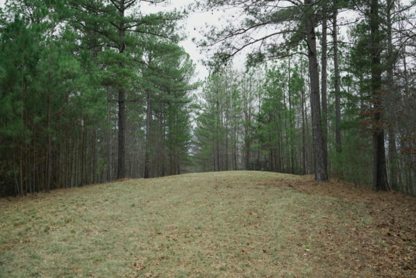 LOT 13 FOREST HILLS DRIVE, MILL SPRING, NC 28756, photo 5 of 11