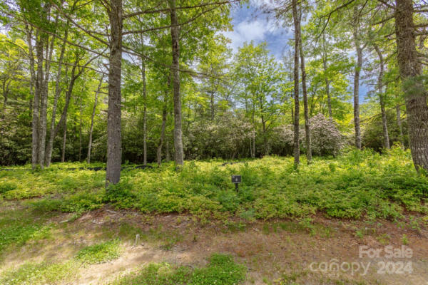 LOT W4 WATERSOUND TRAIL, GLENVILLE, NC 28736 - Image 1