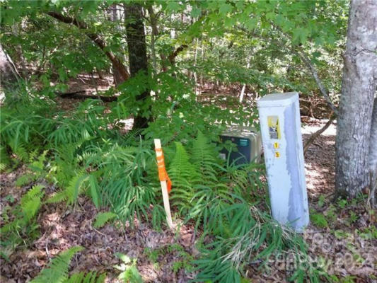 000 CAMPBELL DRIVE # LOT #324, PISGAH FOREST, NC 28768, photo 5 of 16
