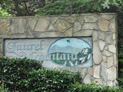 0 LAUREL MOUNTAIN DRIVE, BRASSTOWN, NC 28904, photo 1 of 7