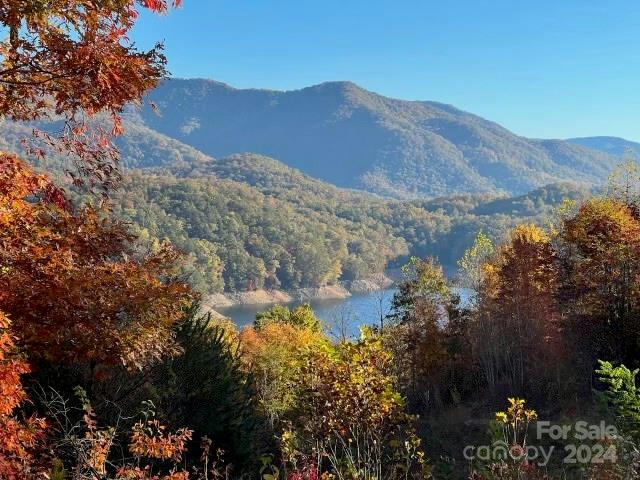 LOT 6 & 6A BAILEY FIELDS ROAD, ROBBINSVILLE, NC 28771, photo 1 of 14