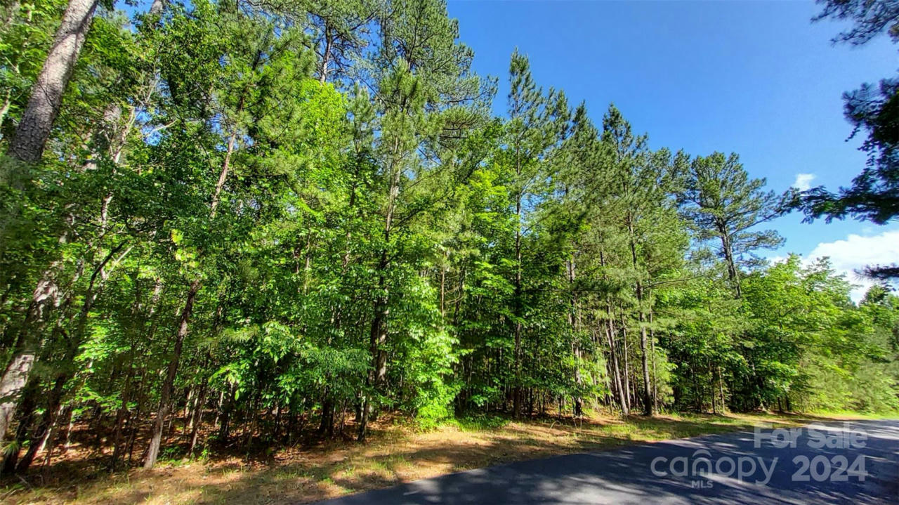 00 LOBLOLLY LANE # 23, MILL SPRING, NC 28756, photo 1 of 14