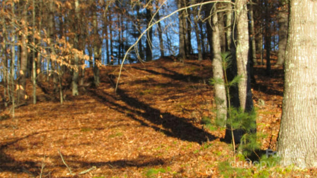 00 HIGH PEAK DRIVE # 61, BURNSVILLE, NC 28714, photo 3 of 22