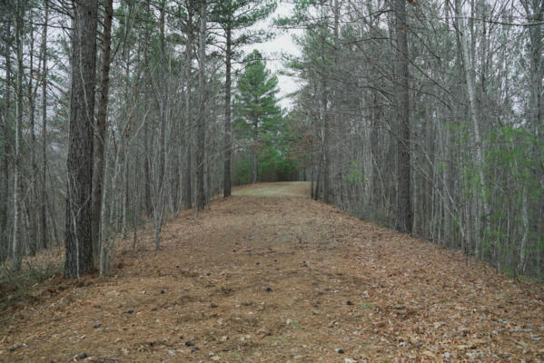 LOT 13 FOREST HILLS DRIVE, MILL SPRING, NC 28756, photo 4 of 11