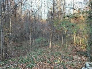 TRACTS OFF PLEASANT GROVE PLEASANT GROVE ROAD # TOTAL: 10.01 ACRES, HENDERSONVILLE, NC 28739, photo 5 of 21