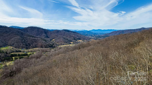 66 MCDARIS COVE RD, WEAVERVILLE, NC 28787, photo 4 of 9