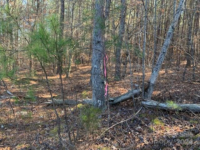 2.88 AC NC HWY 108 HIGHWAY, RUTHERFORDTON, NC 28139, photo 1 of 7