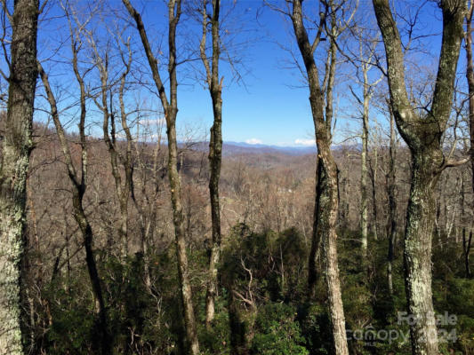 LOT #18 PANTHER MOUNTAIN ROAD # 18, ZIRCONIA, NC 28790, photo 2 of 5