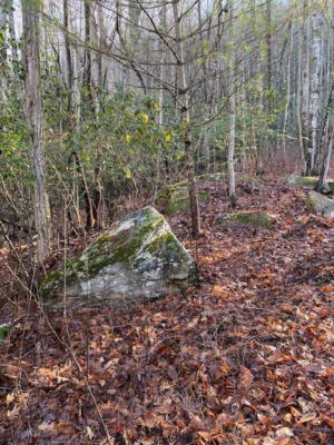 LOT 58 LOST PANTHER ROAD # 58, BREVARD, NC 28712, photo 4 of 5