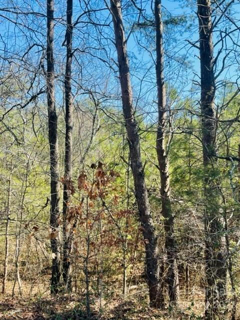 0 RIDGE DRIVE, CONNELLY SPRINGS, NC 28612, photo 1 of 2