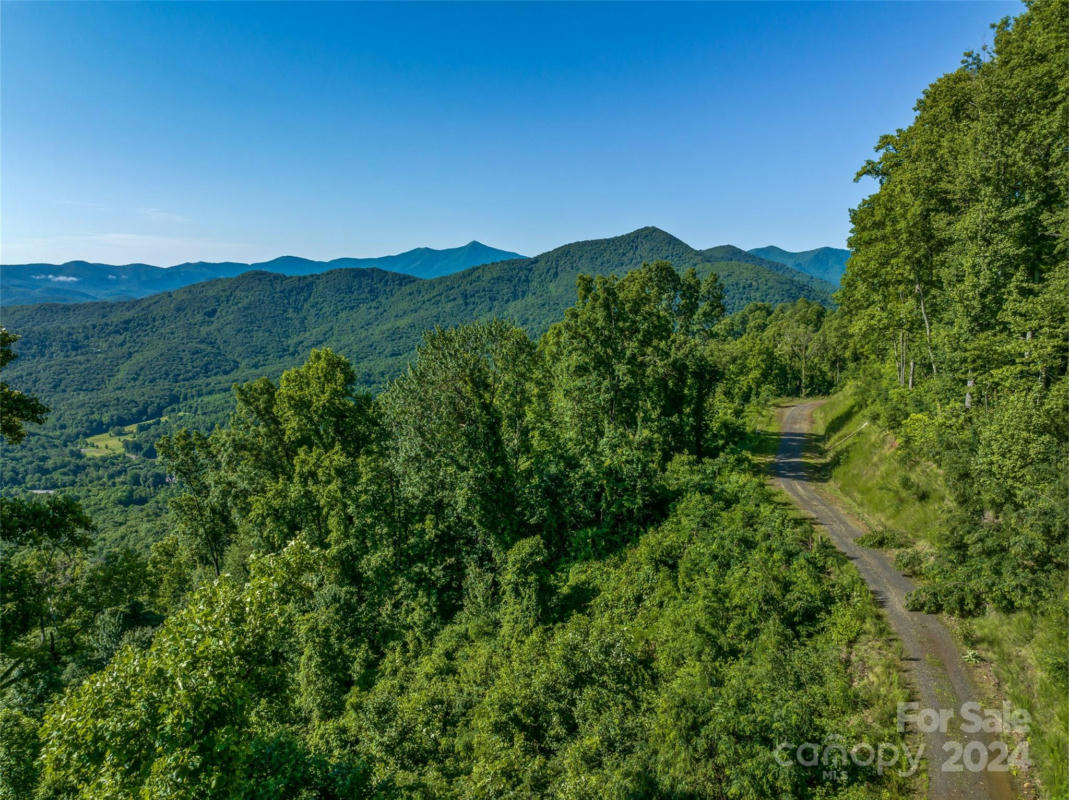 9999-28 LOVEBIRD LANE # 28, CANTON, NC 28716, photo 1 of 22