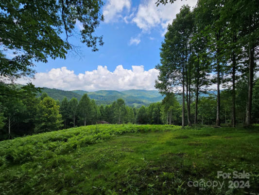 TBD SMITH CREEK ROAD # 2, MARS HILL, NC 28754 - Image 1