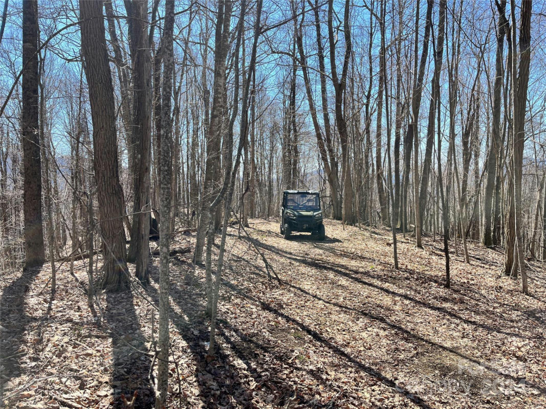 00 LITTLE FORK TRAIL, BAKERSVILLE, NC 28705, photo 1 of 14