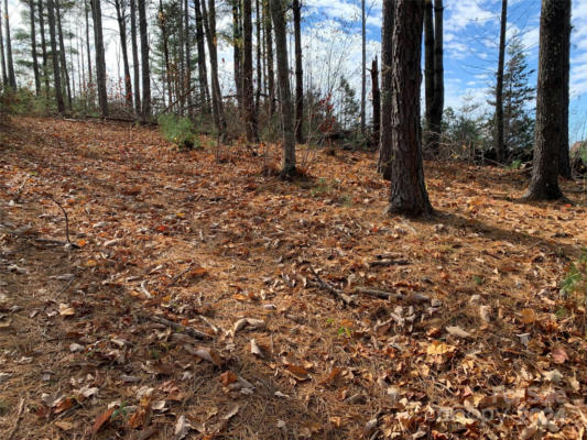 1.6 ACRES, LOT 204B JOHNS RIDGE PARKWAY # LOT 204B, LENOIR, NC 28645, photo 5 of 26