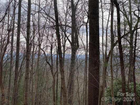 LOT W13 CURTAIN BLUFF, HENDERSONVILLE, NC 28791, photo 4 of 5