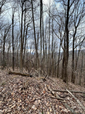 00 LITTLE FORK TRAIL, BAKERSVILLE, NC 28705, photo 3 of 14