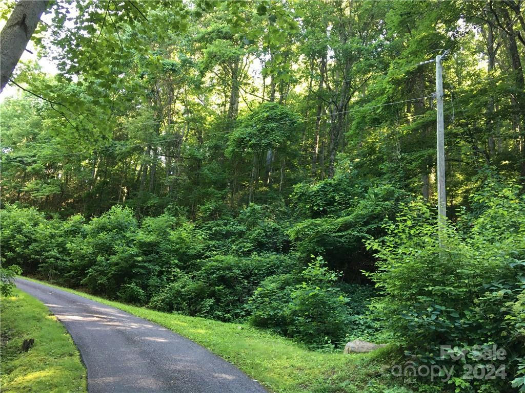 TBD RED OAK FOREST ROAD, FAIRVIEW, NC 28730, photo 1 of 6