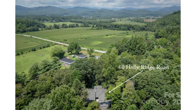 60 HOLLY RIDGE RD, PISGAH FOREST, NC 28768, photo 5 of 43