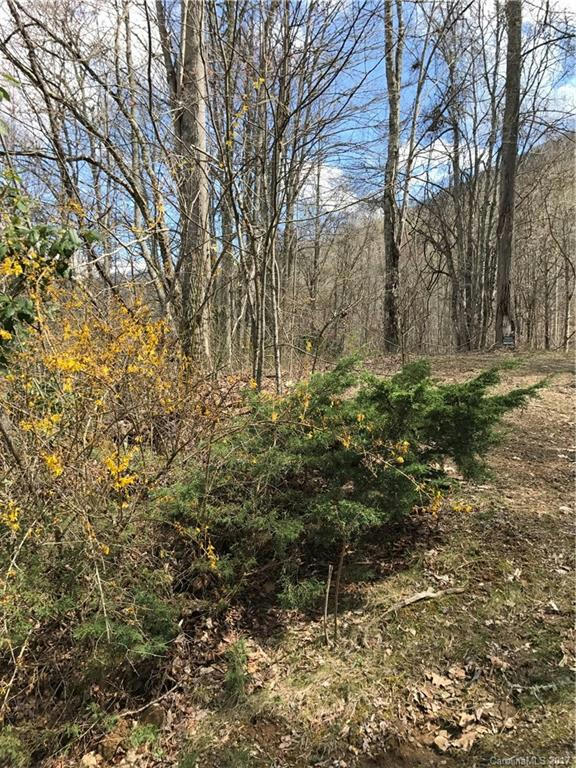 LOT K SECTION 6 JULALBO ROAD # LOT K SEC 6, WHITTIER, NC 28789, photo 1 of 4