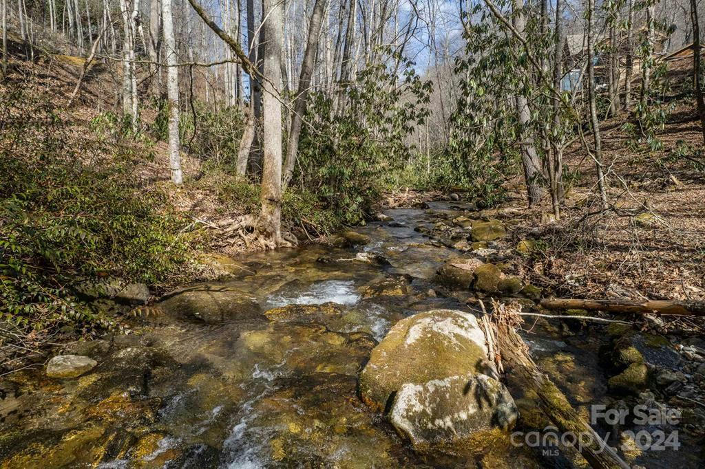 LOT 143 LAKE FOREST DRIVE # 143, TUCKASEGEE, NC 28783, photo 1 of 19