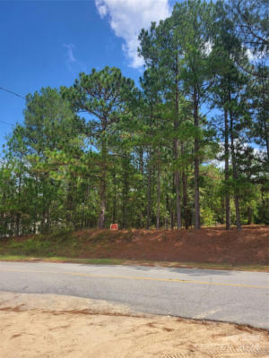 685 MACEDONIA CHURCH RD, CHERAW, SC 29520 - Image 1