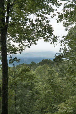 0 S RUNNING DEER TRAIL # 79, HORSE SHOE, NC 28742 - Image 1