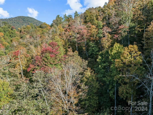 000 WATERSHED ROAD # TRACT 2, MARS HILL, NC 28754, photo 5 of 28