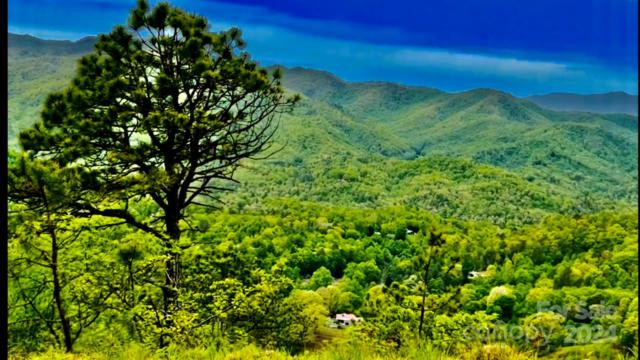 25 MARR HEIGHTS # 25, BRYSON CITY, NC 28713, photo 4 of 23