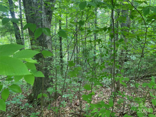 LOT 15 WALNUT RIDGE DRIVE, LENOIR, NC 28645, photo 3 of 6