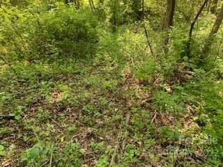 3 LOTS COUNTRY CLUB ROW # A,B,C, HENDERSONVILLE, NC 28739, photo 3 of 24