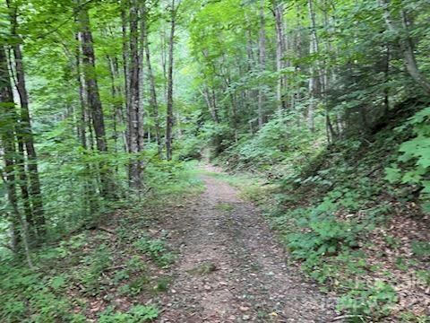 000 BLACKBERRY LANE, BURNSVILLE, NC 28714, photo 2 of 13