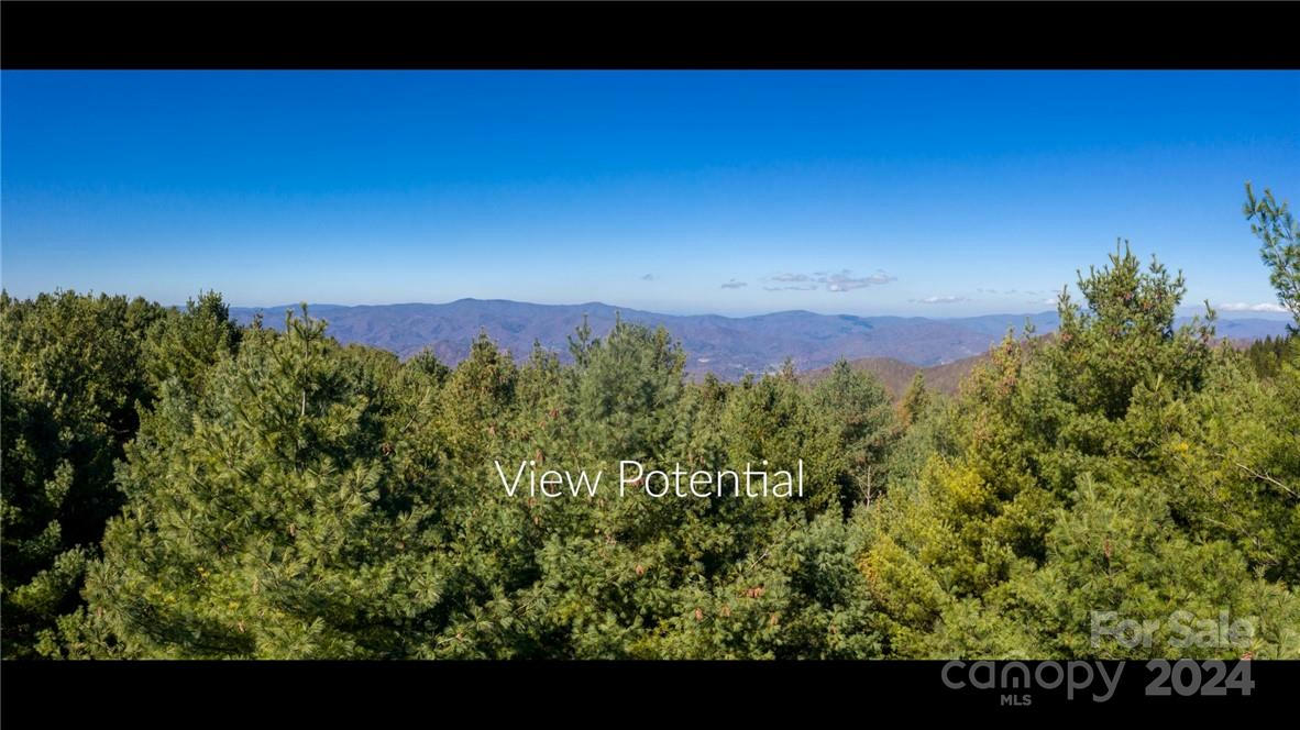 197 EAGLE BALD TRAIL # LOT 34, BURNSVILLE, NC 28714, photo 1 of 19