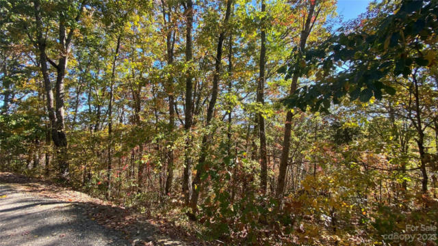 TBD MOUNTAIN VIEW ROAD, ASHEVILLE, NC 28806, photo 4 of 26