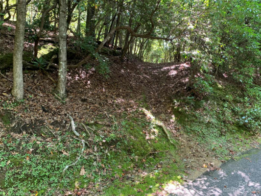 LOT 603C KILDRUMMY DRIVE, PISGAH FOREST, NC 28768, photo 4 of 9