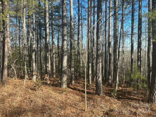 0000 PINE CONE TRAIL, RUTHERFORDTON, NC 28139 - Image 1