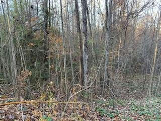 TRACTS OFF PLEASANT GROVE PLEASANT GROVE ROAD # TOTAL: 10.01 ACRES, HENDERSONVILLE, NC 28739, photo 4 of 21