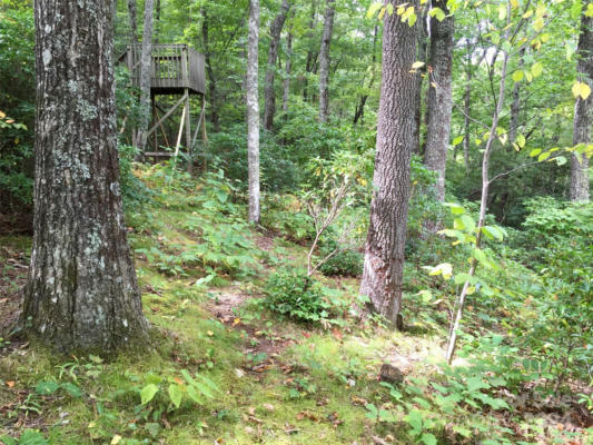 LOT #18 PANTHER MOUNTAIN ROAD # 18, ZIRCONIA, NC 28790, photo 3 of 5