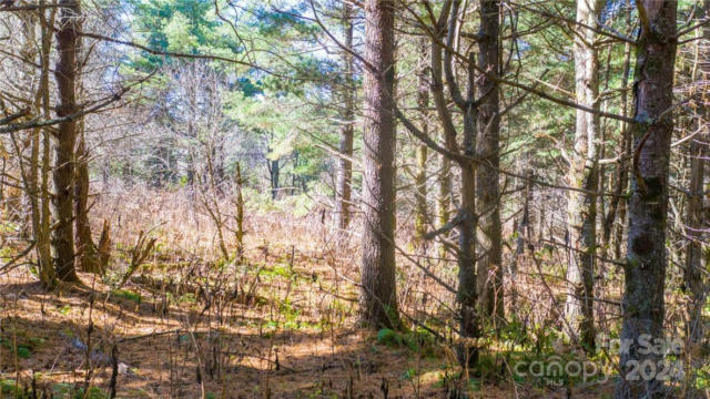 197 EAGLE BALD TRAIL # LOT 34, BURNSVILLE, NC 28714, photo 5 of 19