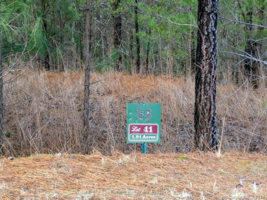 LOT 11 LEGEND DRIVE # 11, LAKE LURE, NC 28746, photo 2 of 6