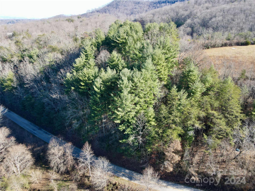 135 MORGAN COVE RD, CANDLER, NC 28715, photo 1 of 19