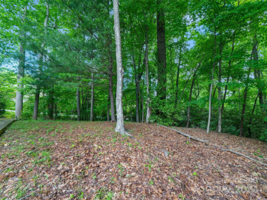 2507 CARRIAGE FALLS CT, HENDERSONVILLE, NC 28791 - Image 1