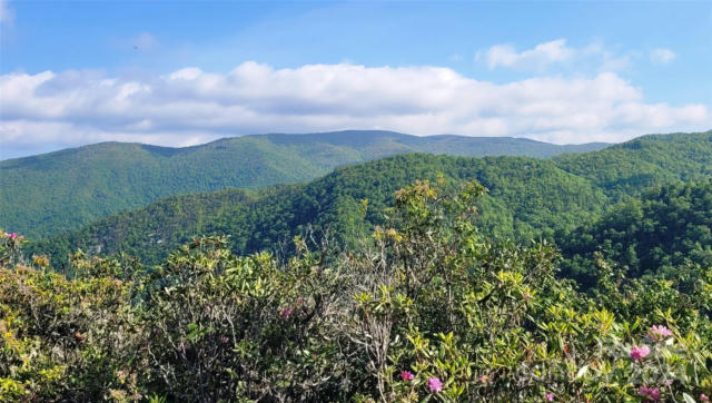 400 BEARWALLOW RIDGE TRAIL # 43, MAGGIE VALLEY, NC 28751, photo 2 of 15