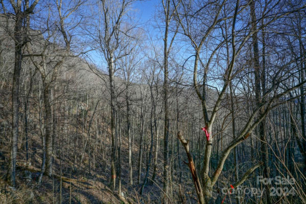 TBD SCENIC, BLOWING ROCK, NC 28605, photo 5 of 26