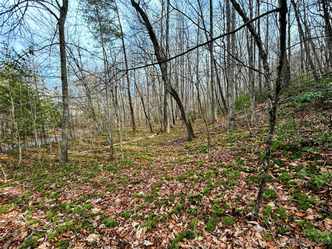 LOT 7 AZALEA WAY, SALUDA, NC 28773, photo 1 of 13