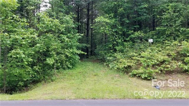 4.6 ACRES ON NARROW GAUGE DRIVE # 15, COLLETTSVILLE, NC 28611 - Image 1